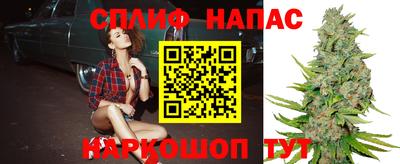 сатива Кунгур
