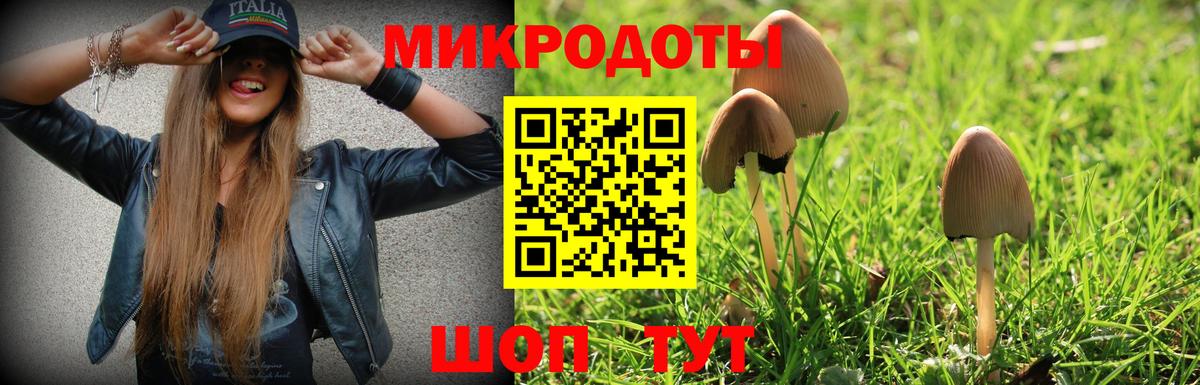 Галлюциногенные грибы прущие грибы Кандалакша