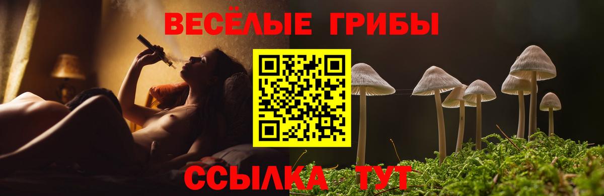 Галлюциногенные грибы GOLDEN TEACHER  Галлюциногенные грибы GOLDEN TEACHER  Кандалакша  Вход с VPN 